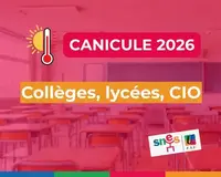 Canicule : le sens de l'irresponsabilité